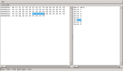 Screenshot vom Hexeditor