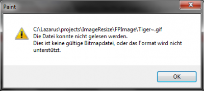 Fehlermeldung bei Paint