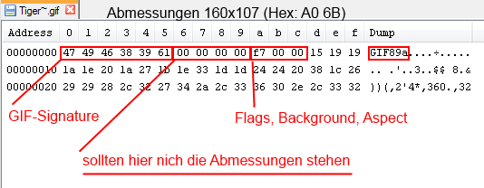 Hexdump Result