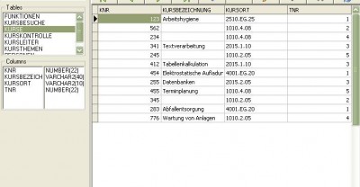zeos-oraclexe-umlaute.JPG