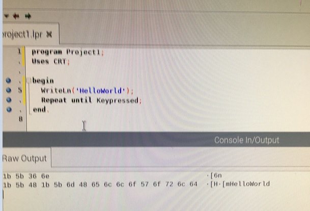 Screenshot_Raspberry.jpg