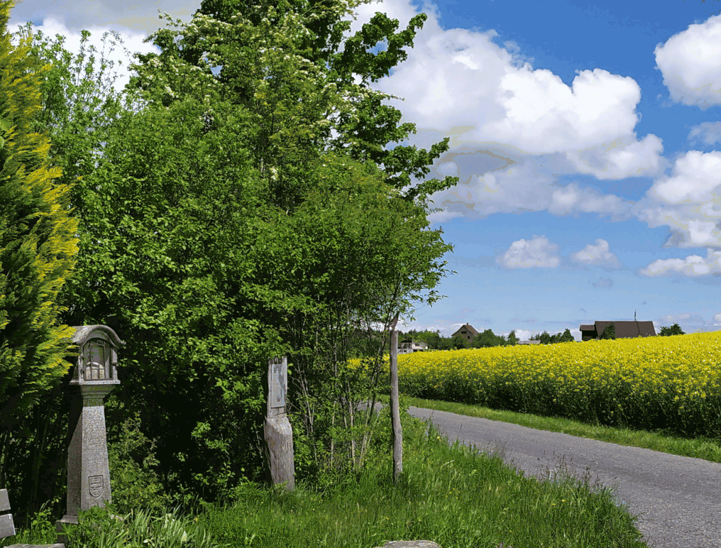 beinwil_bgra.bmp