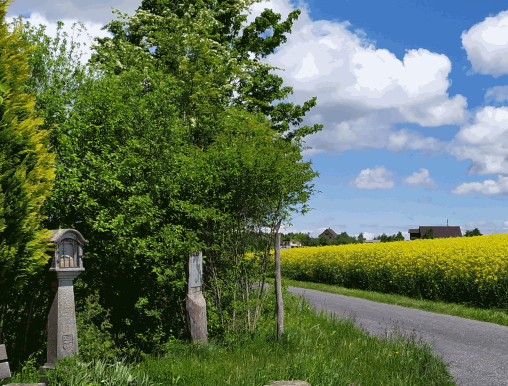 beinwil_op.bmp