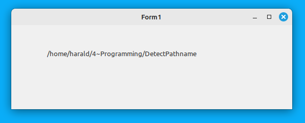 DetectPathname.png